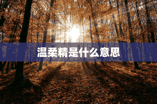 温柔精是什么意思(温柔精致)